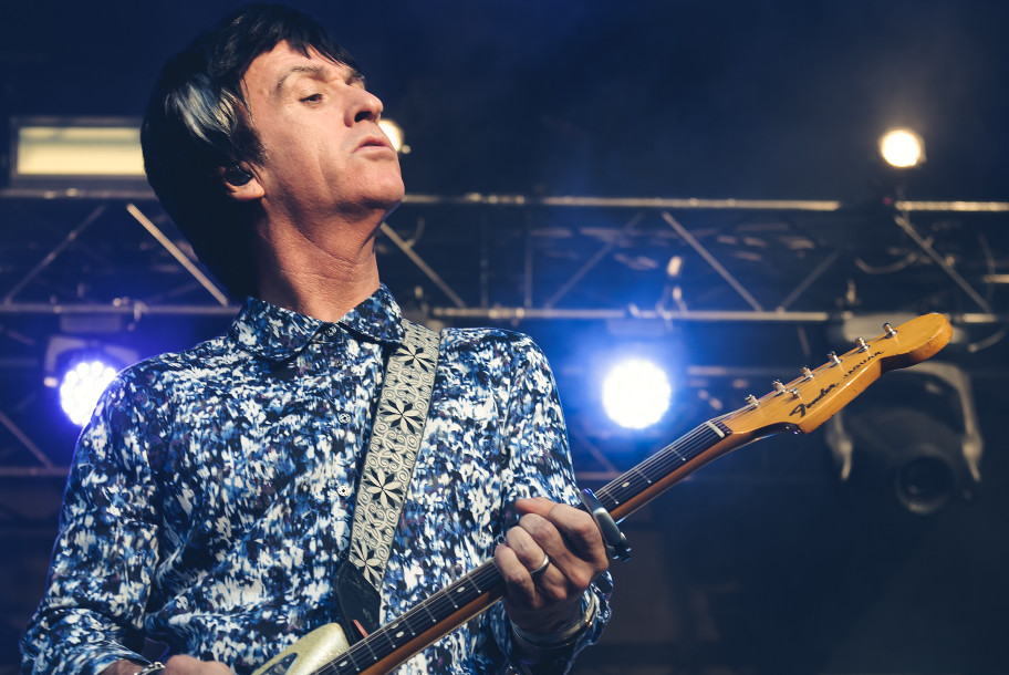 the wombats